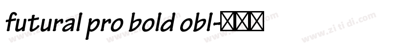 futural pro bold obl字体转换